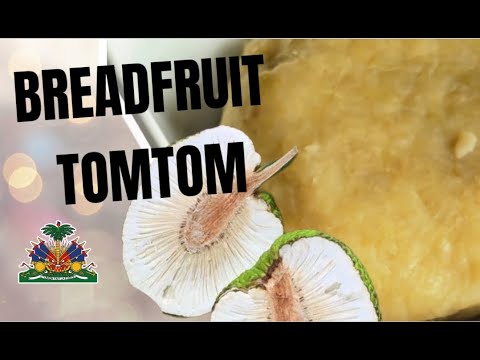 Quick and Easy Recipe | How to make TOM TOM (BREADFRUIT) | HAITIAN FOOD