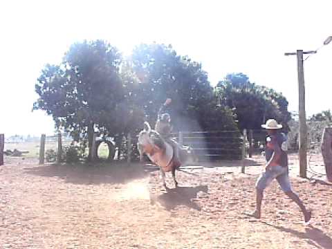 Cia Trombeta - Touro Forro Pesado