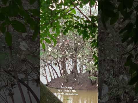 Lambari MInas Gerais  #lambari #health #peace #peaceful #peacefulvibes #introvert