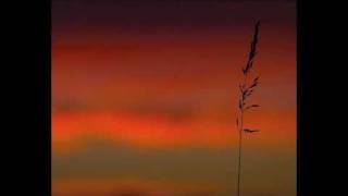 Rebecca Lavelle - My heart is like a river - with lyrics