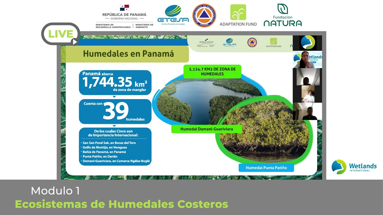 Módulo 1 – Ecosistemas de Humedales Costeros – Cursos Fondo de Adaptación Panamá