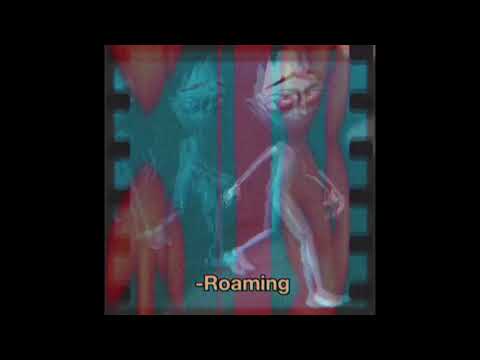 AllStar Mari-Roaming Ft:RichVariii (Official Audio)