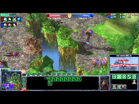 White-Ra empfiehlt uns ein geiles PvZ auf Tal Darim Altar 2/2 G173