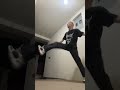 S3RL MTC JUMPSTYLE