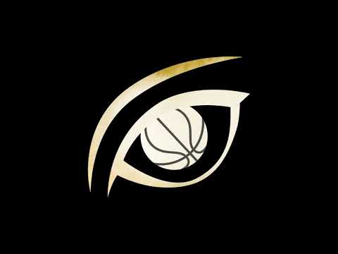 WE ARE TRUE VISION ELITE  #basketball #documentary