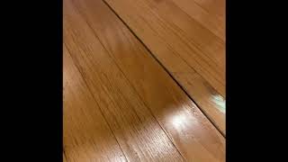 Repairing Water Damaged Hardwood Flooring