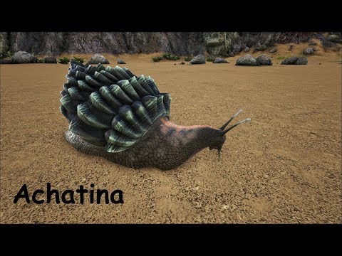 Ark | Let's Tame Achatina Solo | Deutsch/German