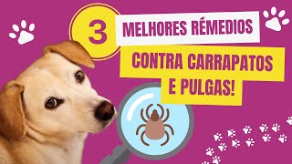 3 Melhores Remédios Contra Carrapatos e Pulgas! Qual Remédio Comprar Contra Carrapatos e Pulgas?