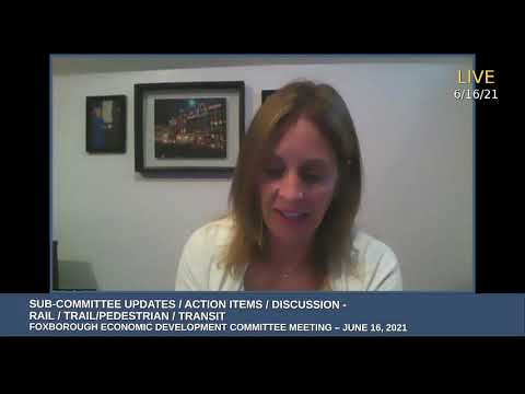 Thumbnail for Economic Development Committee Meeting 6/16/2021