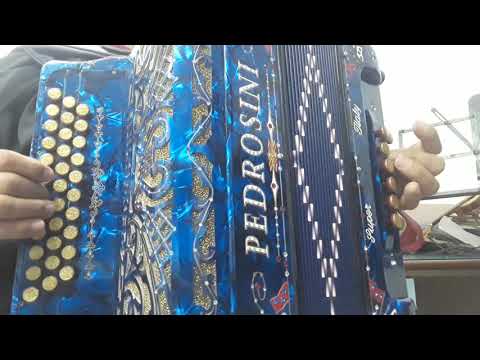 Vídeo aula.  CANA VERDE.