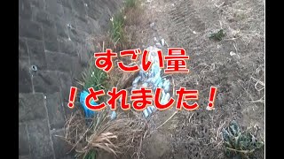 八王子の川口川、、、川だよね⁉ #Shorts
