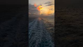 🔥 Sunset splash on cruiseship #cruise #symphonyoftheseas #travel #sunset  #sunrise #viral #nature