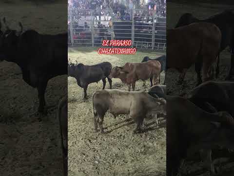 EL PARAISO CHALATENANGO