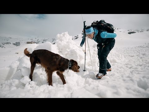 download lagu mp3 mp4 Formation Chien Avalanche, download lagu Formation Chien Avalanche gratis, unduh video klip Formation Chien Avalanche