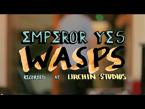 Emperor Yes - Wasps (live @ Urchin Studios)