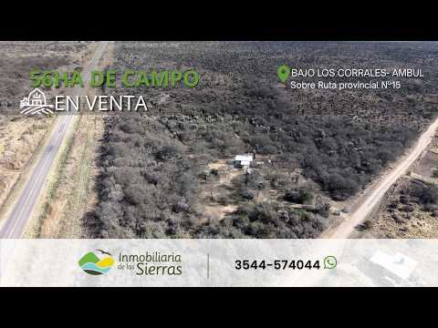Campo de 56 ha en Bajo de CorralesPampa de Pocho – Traslasierra – Córdoba