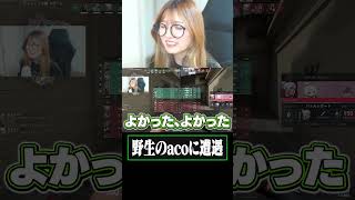 ストリーマーすぎるacomingがこちら　#maripo #valorant #valorantclips #ゲーム実況