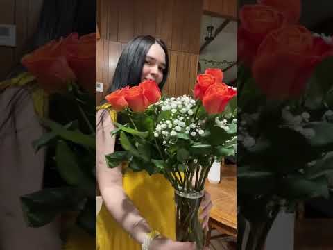 #viralvideo #parati #vlogvideo #vlog #vlogs #vlogshorts #undíaconmigo