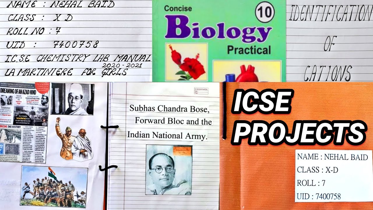 ICSE CLASS 10 Boards Projects PDF for 2024 (all subjects) | ICSE Projects History, Biology, Geo, etc