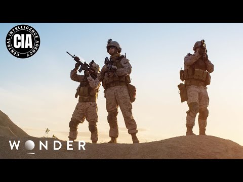 CIA vs. Al-Qaeda: The Rise of Osama Bin Laden