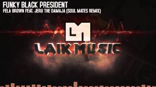 Fela Brown feat. Jeru the Damaja - Funky Black President (Soul Mates Remix)