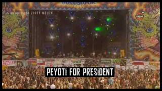 Peyoti for President - Przystanek Woodstock 2010 www.peyoti.com