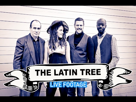 The Latin Tree Video