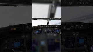 EMERGENCY! Air Speed Low, Pull Up! 😱