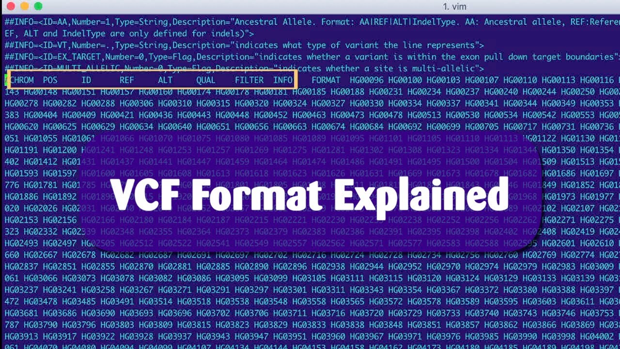 VCF File Format Explained | General Structure & Columns