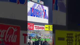 寒空に負けない優勝信じるスワローズファンの東京音頭
