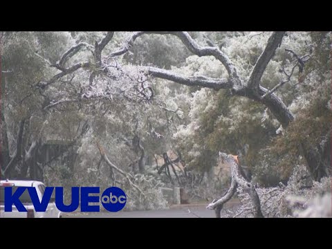 Damage control of cleaning up trees has begun in northwest Austin | KVUE