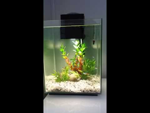 Hagen Fluval U4 video