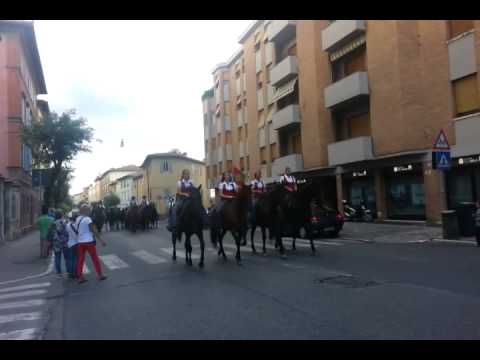 Butteri a Porta Camollia