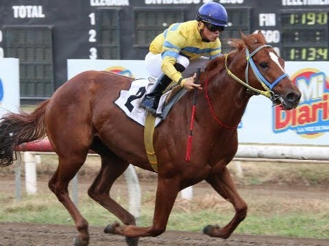 Clásico Carlos y Fernando Eleta Almarán 2017 - Fray Angélico (PAN), Luis Arango