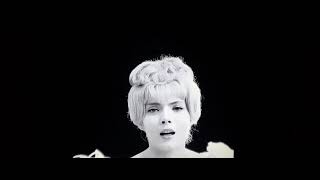 Movie Night - Short Film (2026)