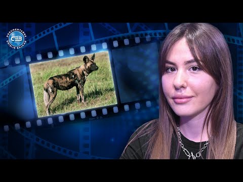 BALKAN INFO: Ivana Janošev – Usvojila sam divljeg psa, napravio mi je probleme!