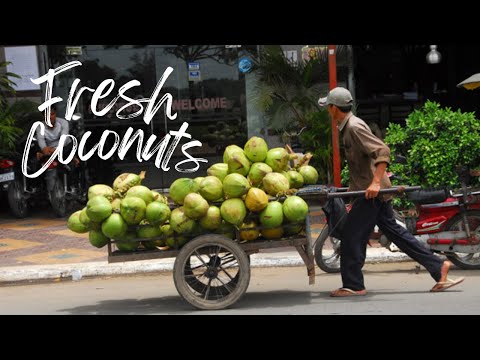 Hardworking Man Selling Coconuts at Veng Sreng Blvd in Phnom Penh city Cambodia #food #streetfood