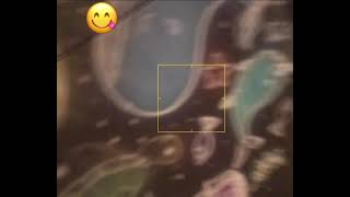 Have you walk in to girl’s room before?