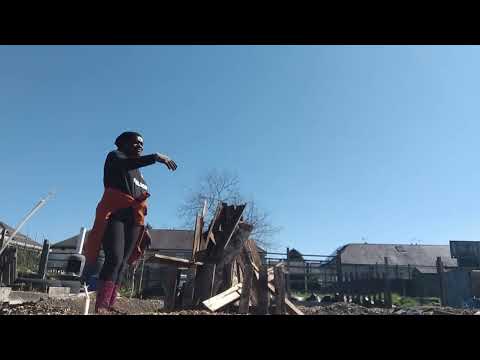 Wood burning at the allotment UK ( CHITEMENE SYSTEM)🤪( AFRICA STYLE  FARMING)❤️❤️♥️♥️