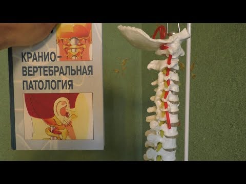 Слабая боль в правом боку в пояснице У взрослого боли в пояснице