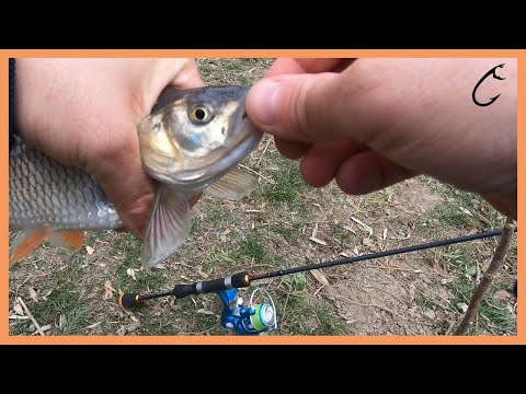 Ultra light chub fishing with soft plastic nymphs - ultralight river jigging with soft micro lures
