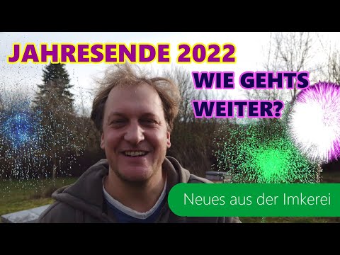 Sylvester 2022  bei den Bienen / 17 Grad / Bienenvolk verhungert