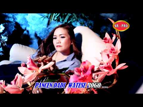 Arya Satria Feat. Jeng Yamti - Tresno Kalingan Negoro | Dangdut (Official Music Video)
