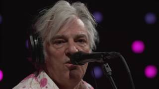 Robyn Hitchcock - Virginia Woolf (Live on KEXP)