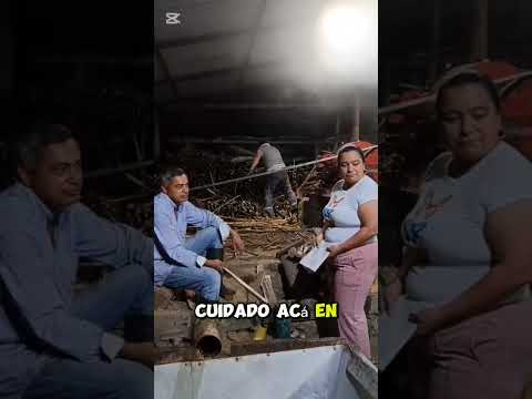 Trapiche de panela en la Palma Cundinamarca