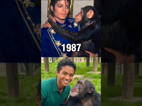 Michael Jackson, el artista incancelable