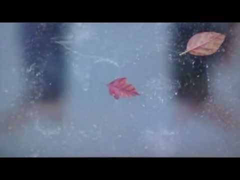 Ed Atkins Even Pricks CAM full video