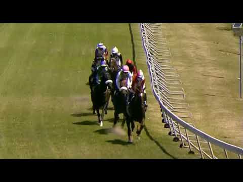 GOLDEN DUCAT - 2021 Premier Trophy (Gr2)