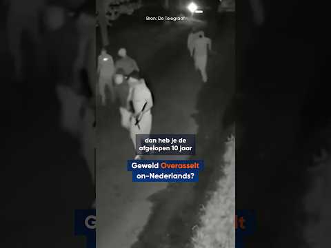 🚨 Zijn de beelden uit Overasselt on-Nederlands?