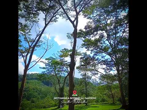 A Day at Seethawaka Botanical Garden 🌿 | Nature's Hidden Gem in Sri Lanka